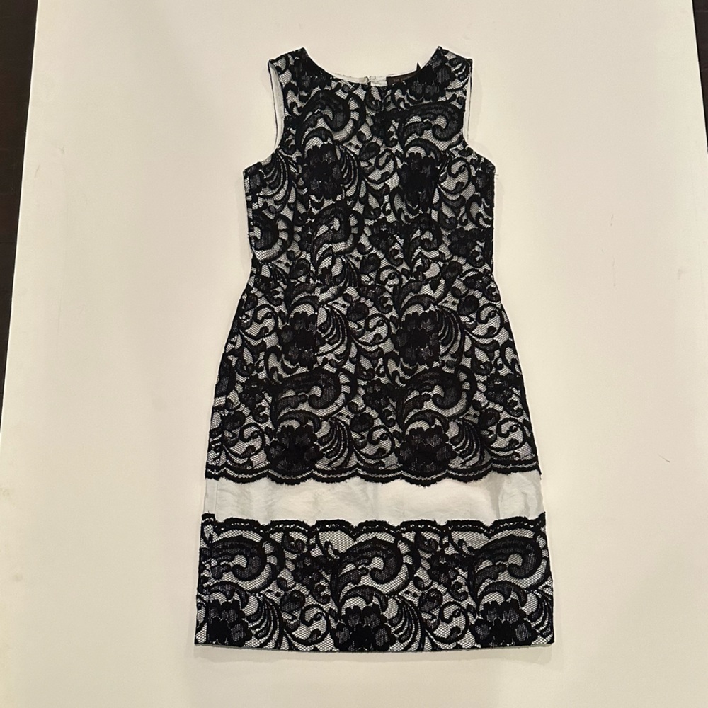 Winter Professional Dress Bundle